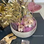 Appartements-dalila Apartment *