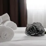 Appartements-dalila *