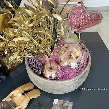 Appartements-dalila Daire *