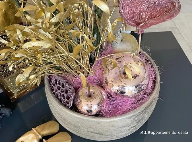 Appartements-dalila Daire *